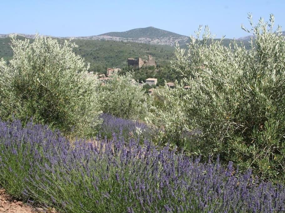 Bergerie Marcel Villa Durban-Corbieres Buitenkant foto