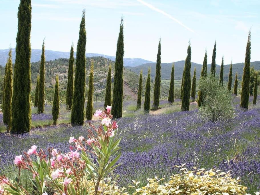 Bergerie Marcel Villa Durban-Corbieres Buitenkant foto